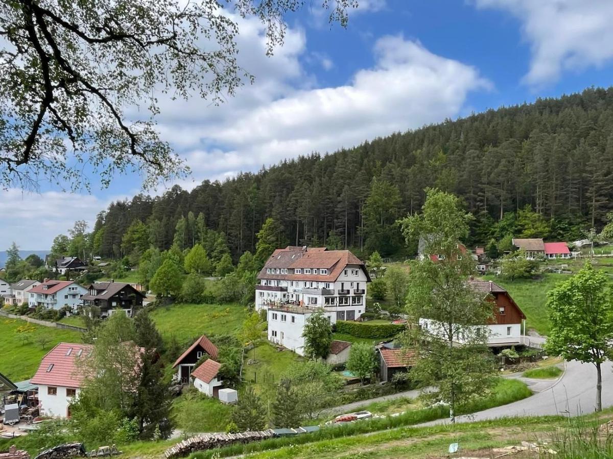 Pension Talblick Баїрсбронн Номер фото